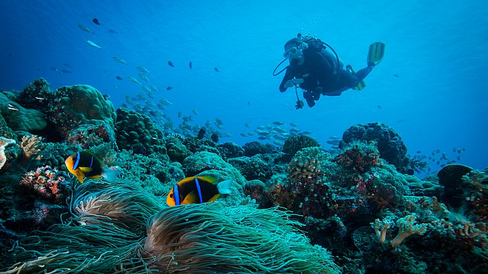 Visitamos la reserva marina de las Islas Columbretes