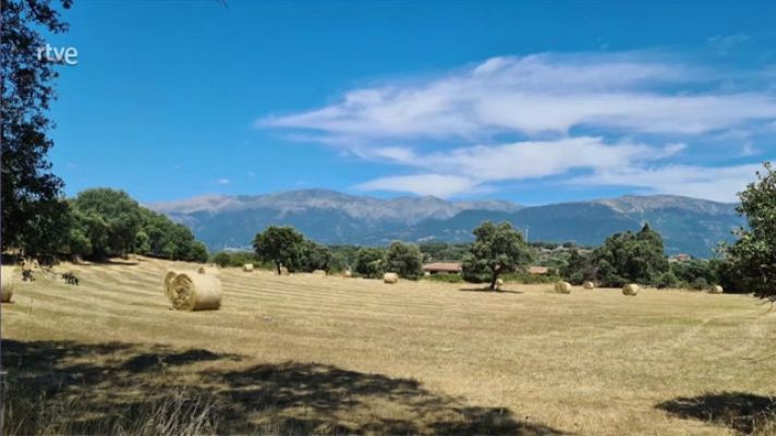 Nuboso o cubierto con lluvias en el Cantábrico oriental y norte de Navarra, que se podrían extender, de forma más débil y dispersa, al resto del extremo norte peninsular