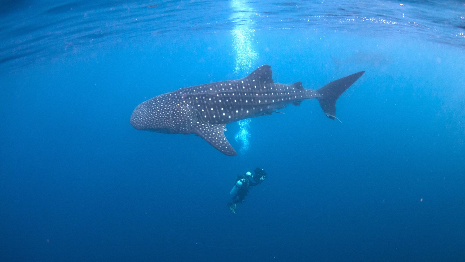 La naturaleza de nuestro planeta Tierra - Agua - ver ahora