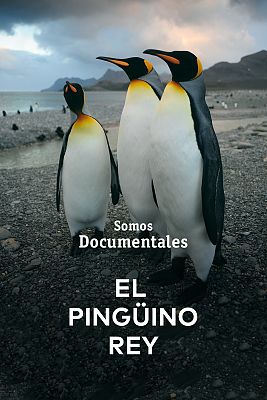 Somos Documentales - El pingüino rey