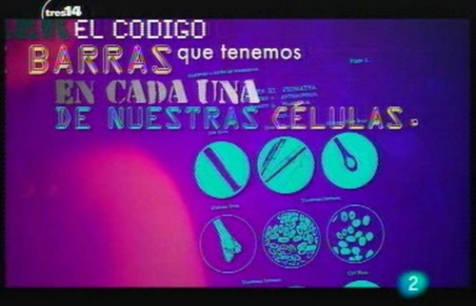 El ADN, nuestra huella genética (rastros)