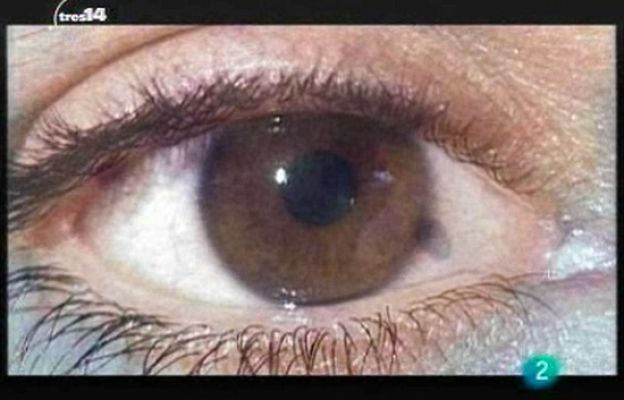 tres14 - Últimas noticias