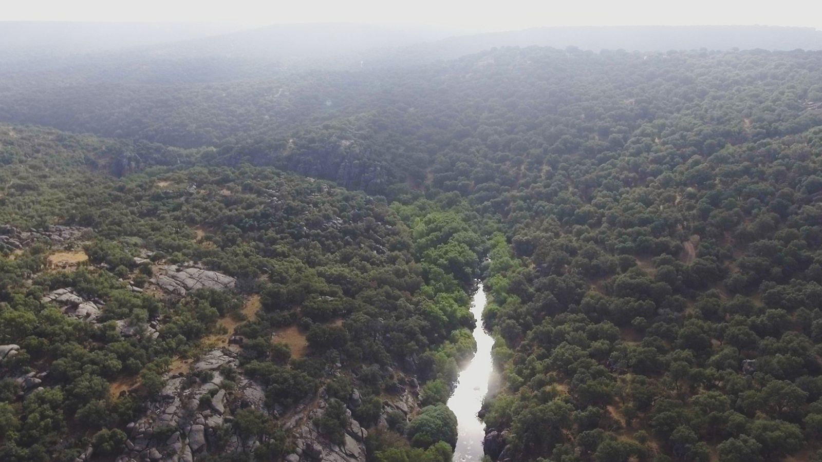 Somos documentales - El corazón salvaje de España - ver ahora