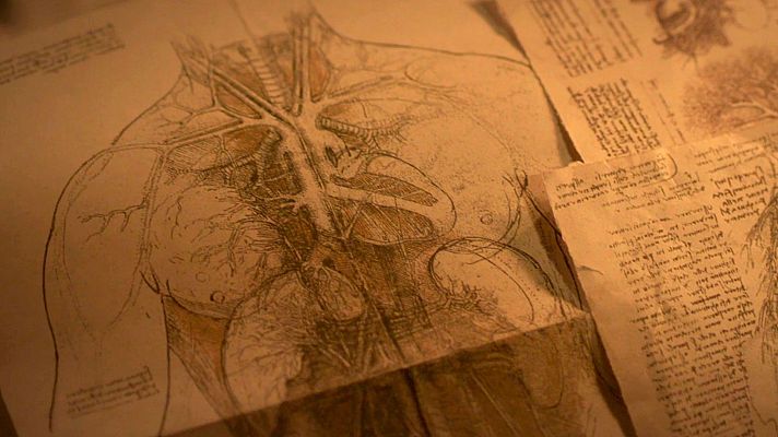 Leonardo da Vinci estudia el cuerpo humano