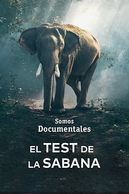 El test de la sabana