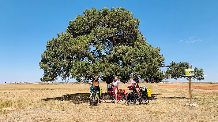 Contra la despoblación, el emprendimiento rural