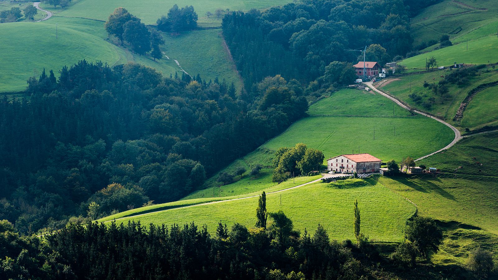 Vuelven a dispararse las reservas rurales este verano - Telediario 1 | Ver