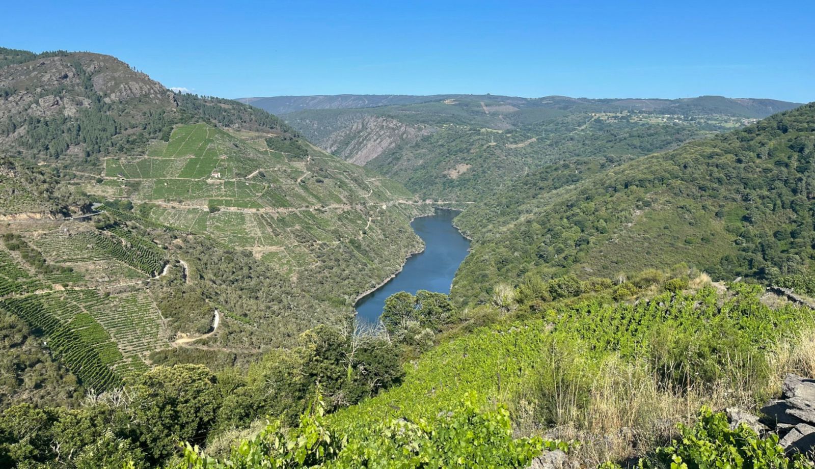 Festival de la Ribeira Sacra: la combinación entre naturaleza y música