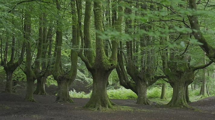 Agrosfera - Agrosfera - 17/07/21