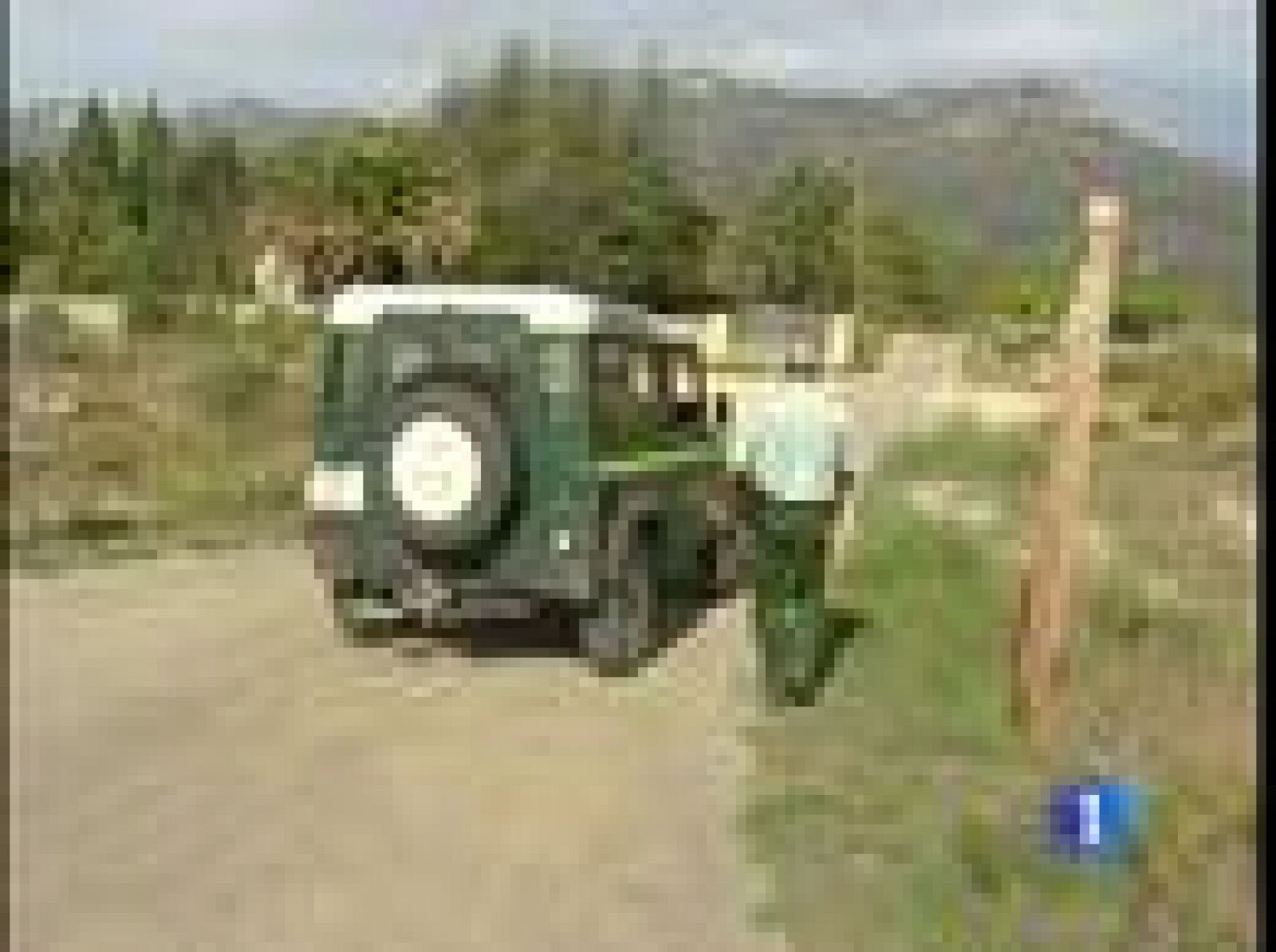 Varias personas dicen haberla visto por la zona desde el pasado sábado. Están investigando de dónde ha salido el animal.