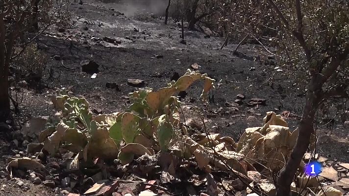 Alerta per l'elevat risc d'incendi a tot Catalunya