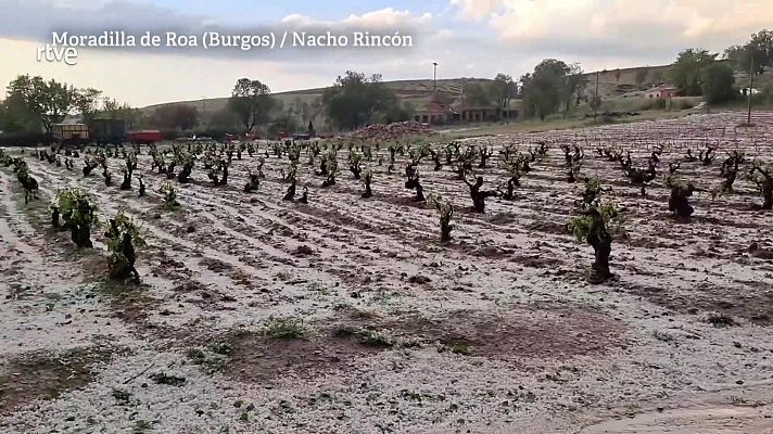 Aquí la Tierra - 19/07/21