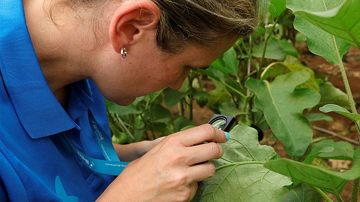 La ingeniería al servicio de agricultura y alimentación