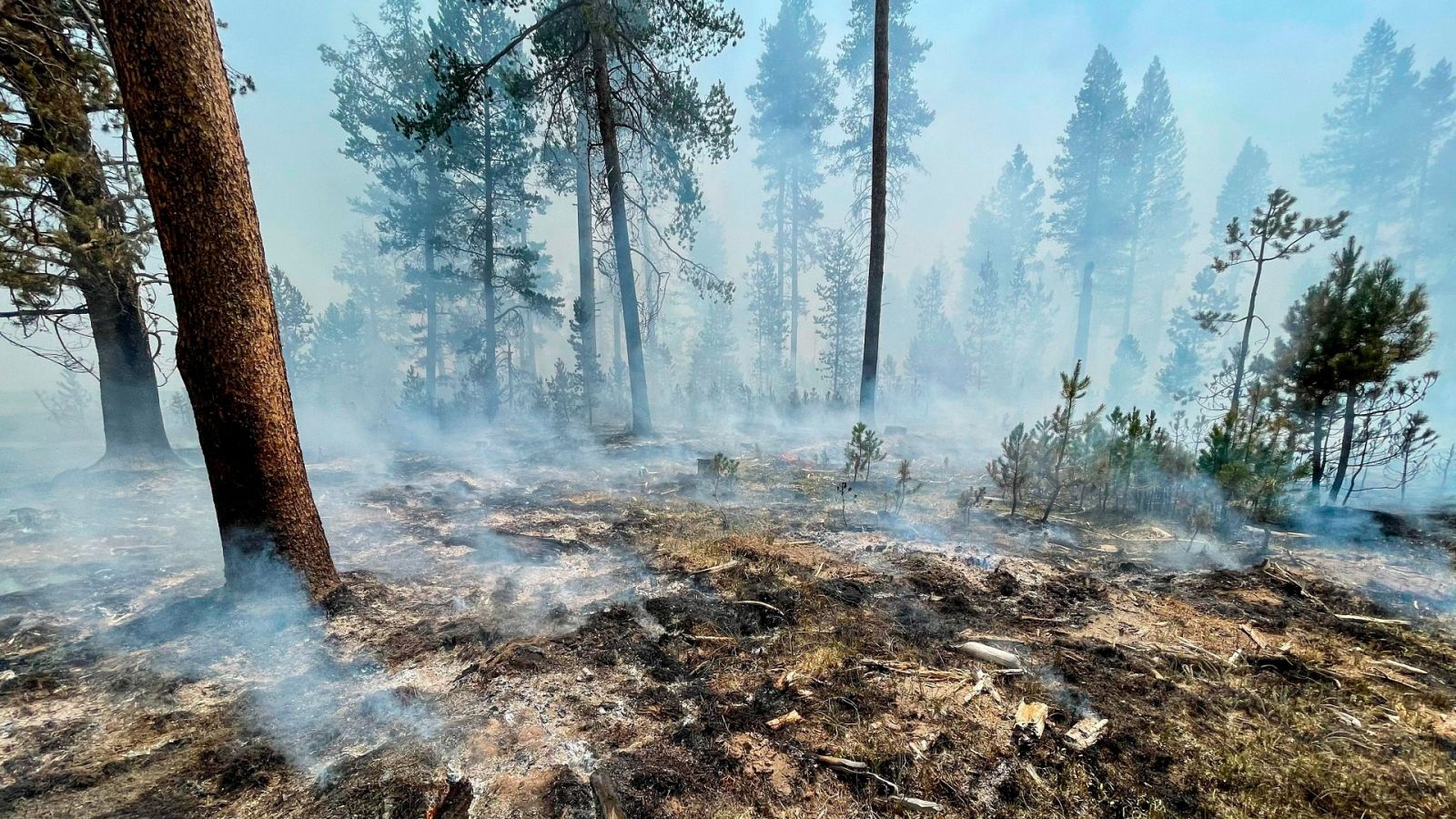 Un incendio capaz de modificar el tiempo de la zona en Oregón, EEUU, arrasa con más de 120.000 hectáreas 