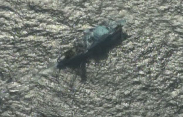  - Sexto día de cautiverio