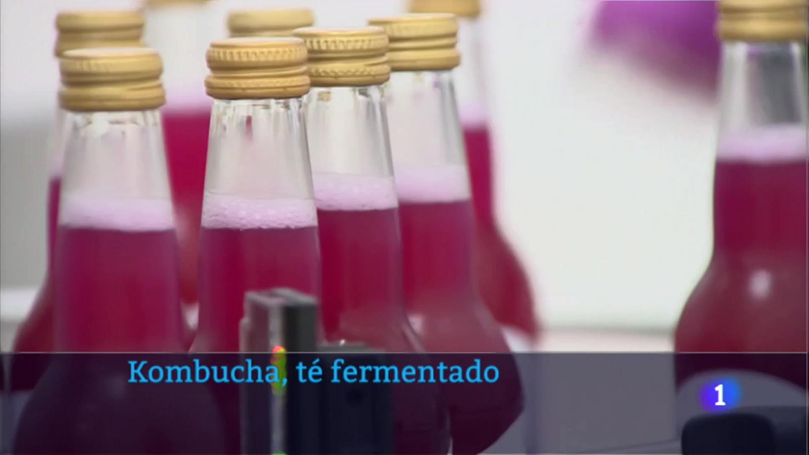 La kombucha es un té azucarado que se ha dejado fermentar durante un tiempo