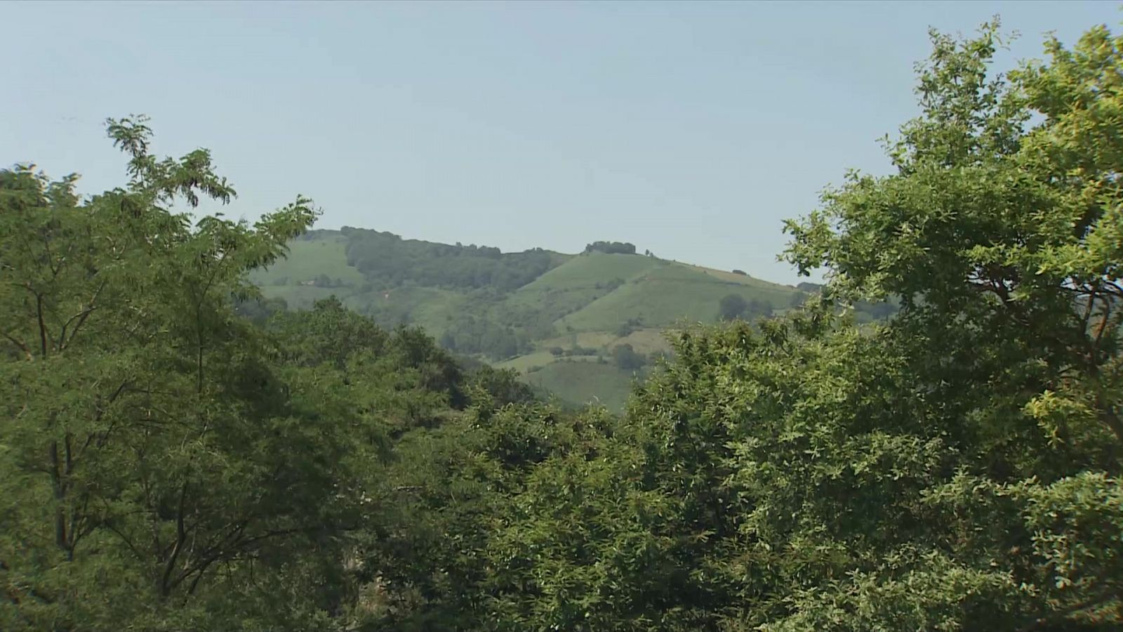 Temperaturas mínimas, en ascenso en general. En Canarias, en descenso, más acusado en medianías - ver ahora