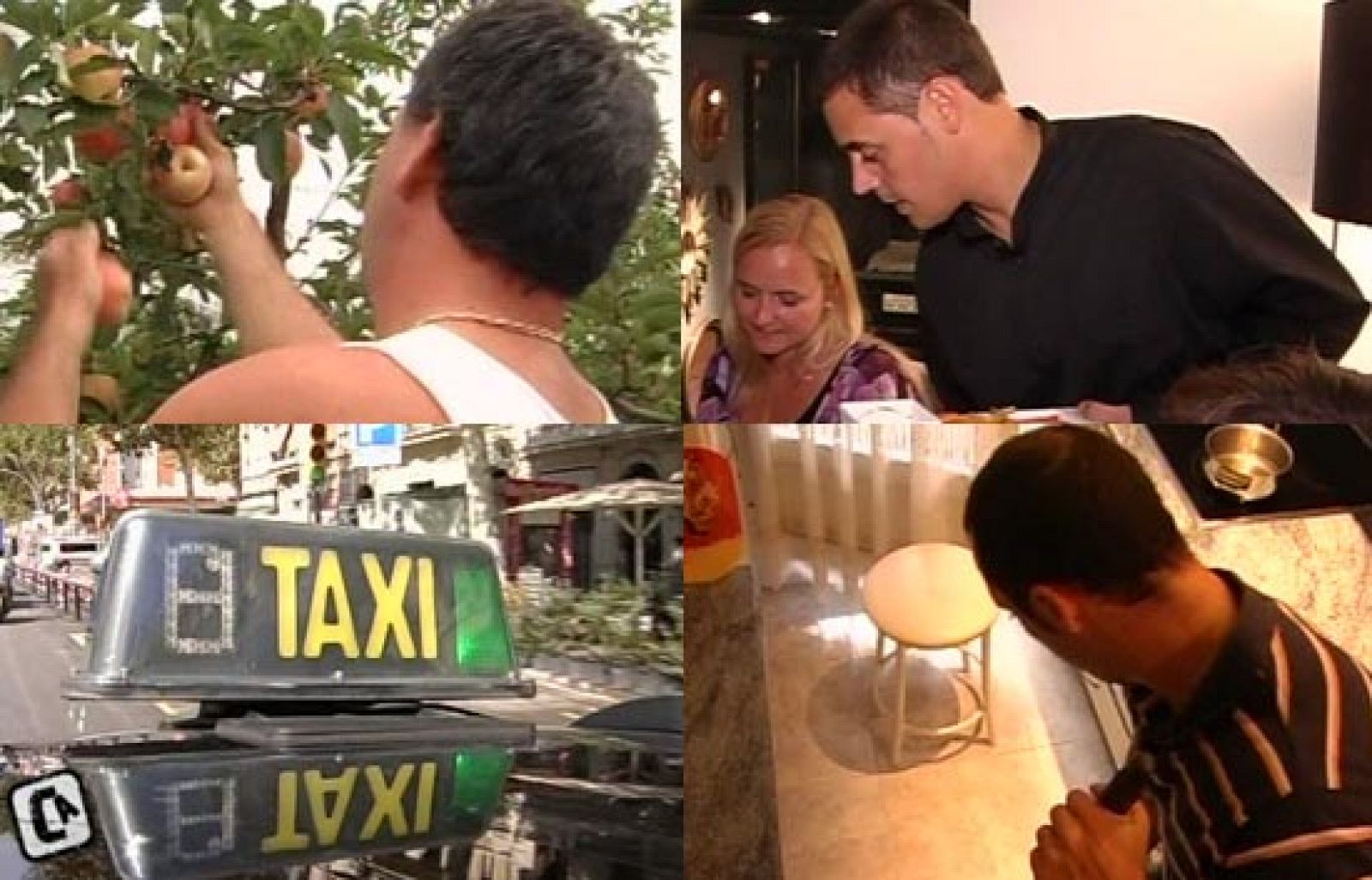 Comando Actualidad - No se me caen los anillos | Ver