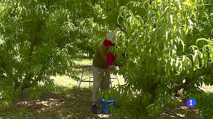 L'Informatiu - Catalunya viu un dels pics de calor de l'estiu