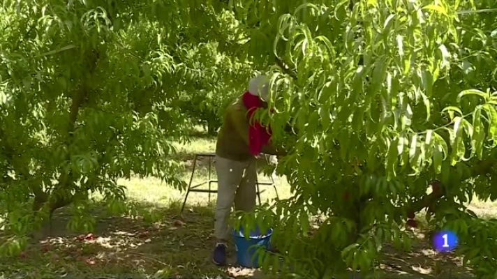 L'Informatiu - Catalunya viu un dels pics de calor de l'estiu