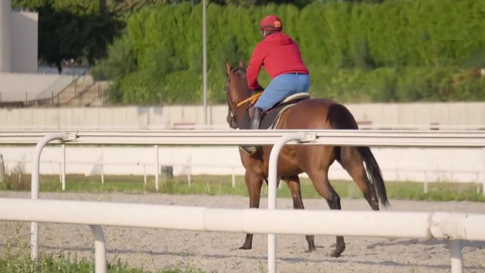 Hípica - Circuito nacional de carreras de caballos, hipódromo de La Zarzuela - RTVE Play