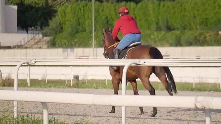 Circuito nal. de carreras de caballos, hipód. de La Zarzuela