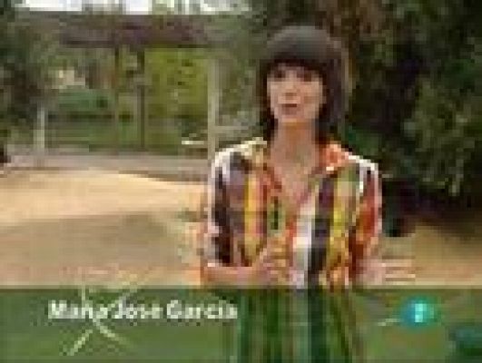 La aventura del Saber - La aventura del saber - Humanidades - 08/10/09