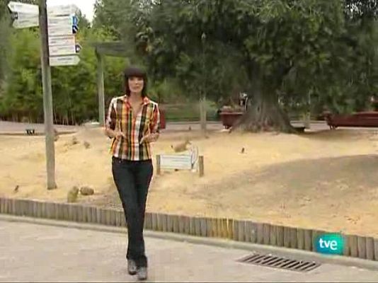 La aventura del Saber - La aventura del saber - Humanidades - 08/10/09