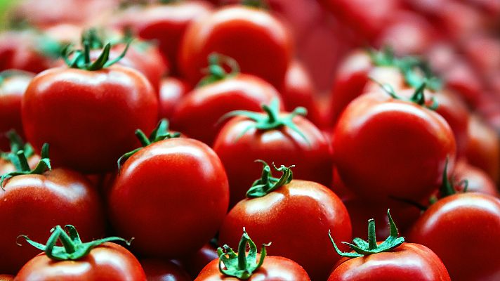 El diamante de la huerta cordobesa