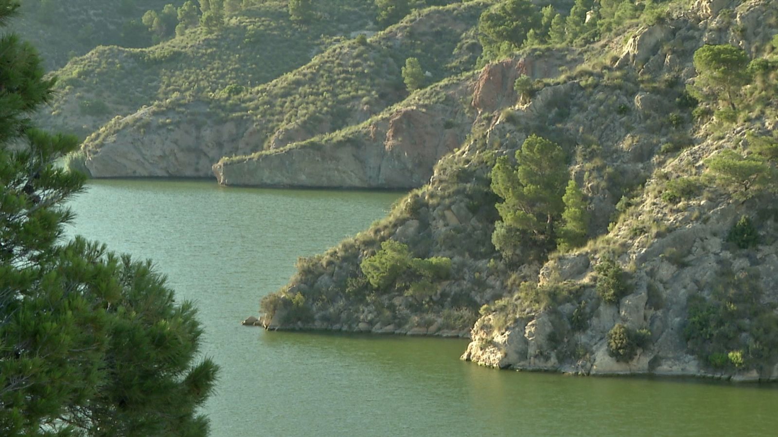 Agrosfera - 24/07/21 - ver ahora