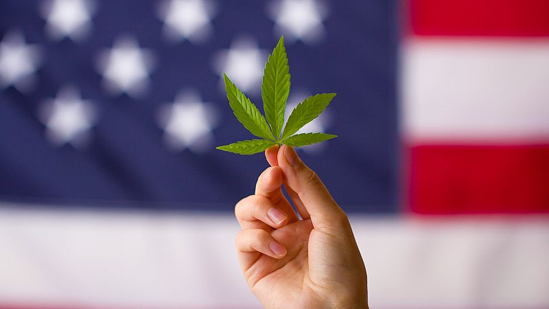 Estados Unidos debate despenalizar la marihuana