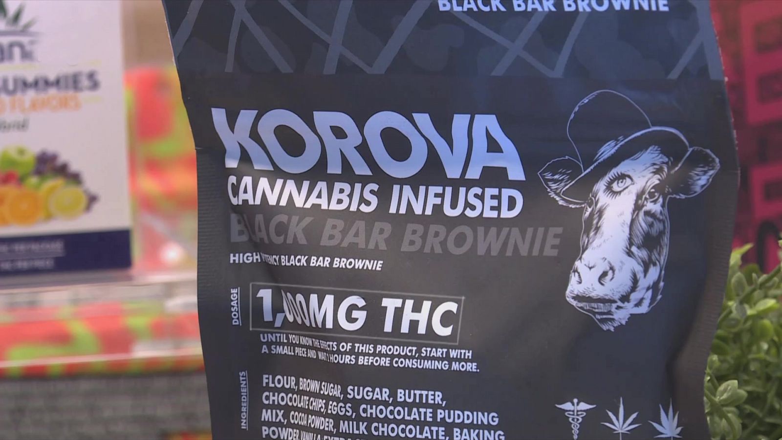 Informe Semanal - La fiebre del oro verde - ver ahora