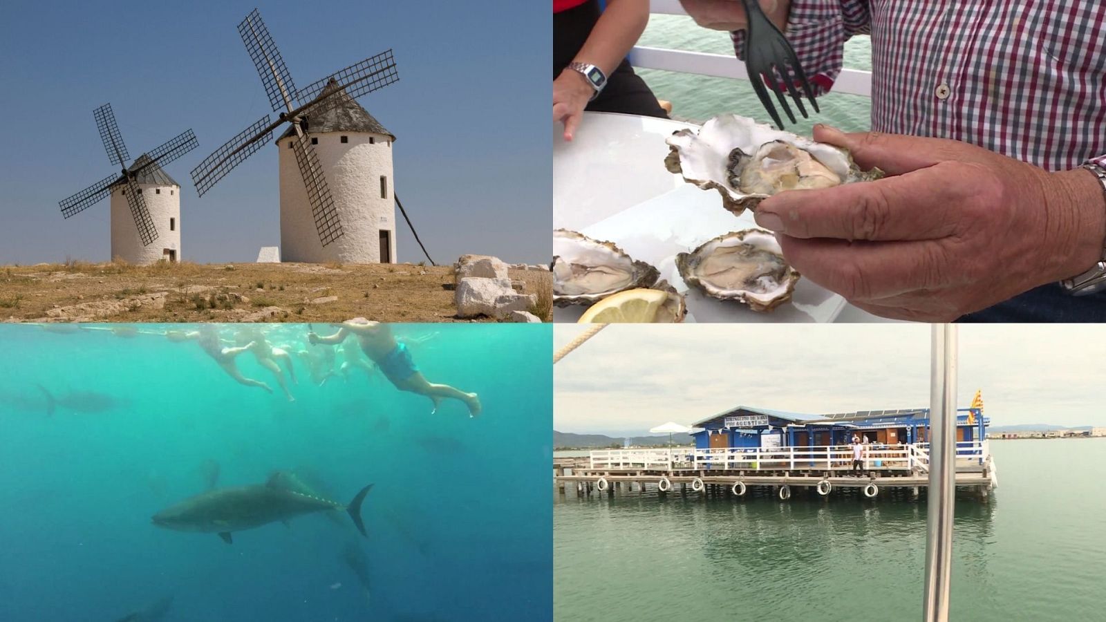 Avance: 'Quijotes por Naturaleza' en Comando al Sol