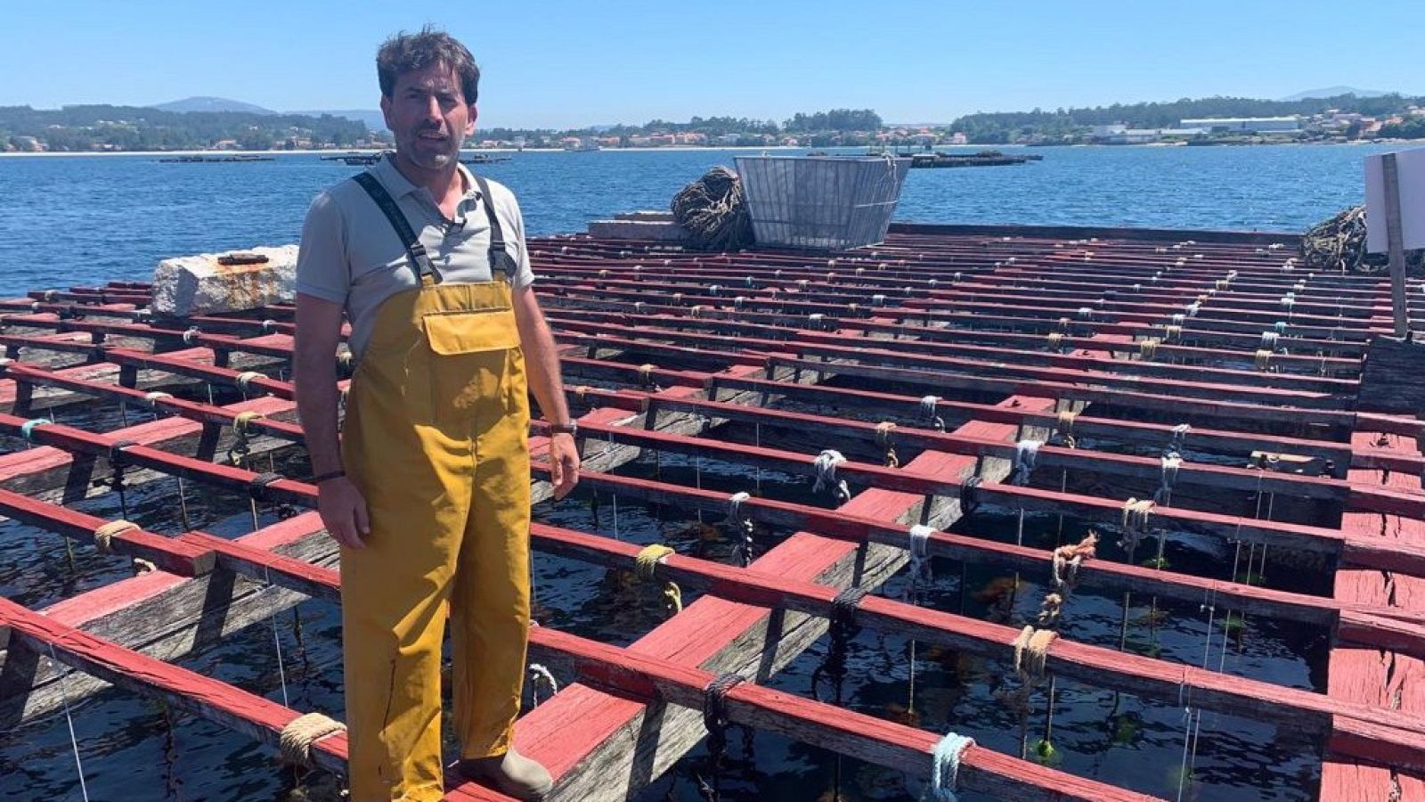 Antonio Garrido te desvela cómo se cultivan los mejillones - España Directo | Ver