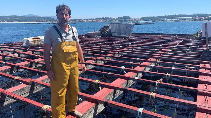 España Directo - Antonio Garrido te desvela cómo se cultivan los mejillones e