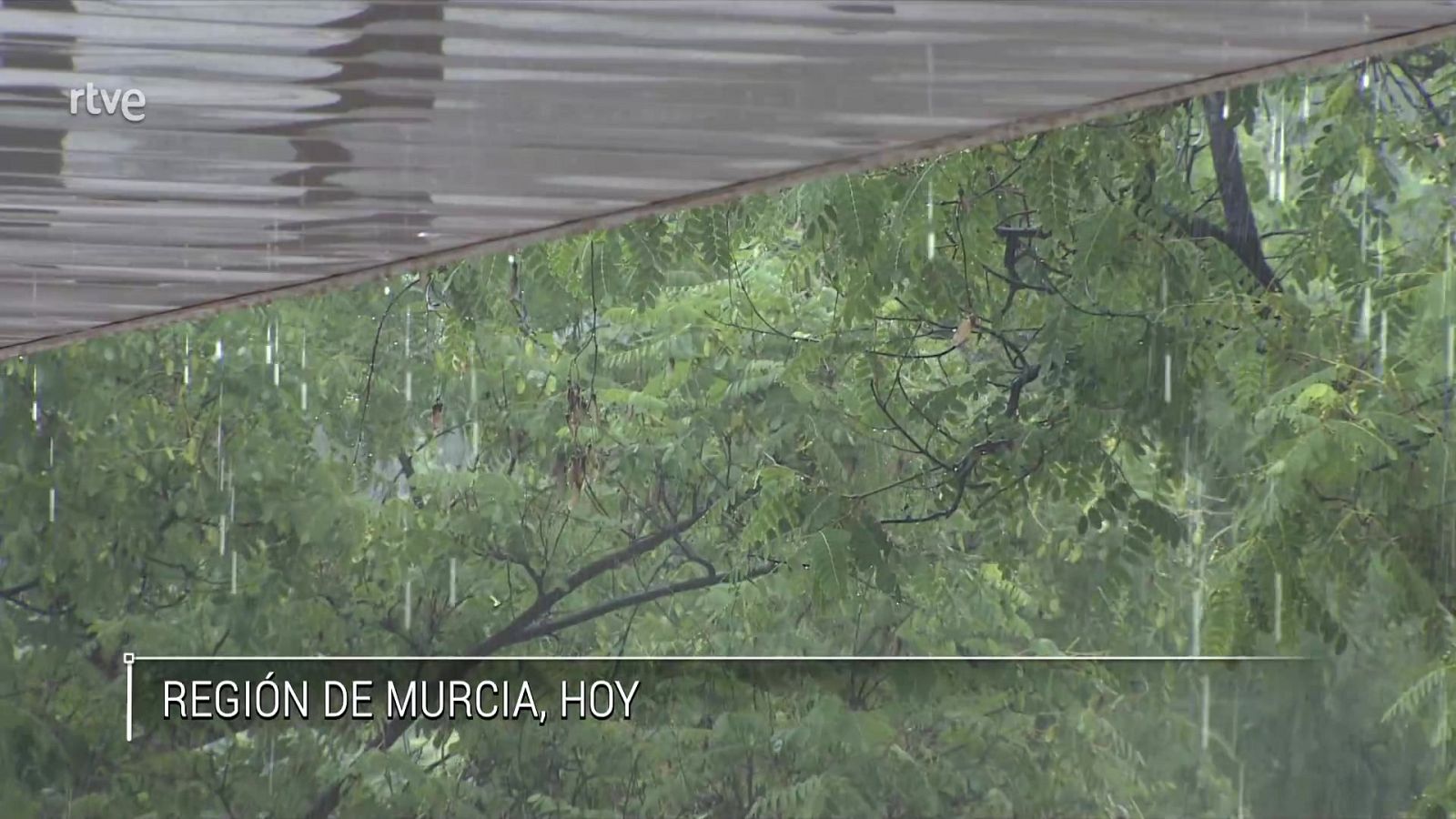 Descenso notable de temperaturas en el interior sudeste peninsular - ver ahora