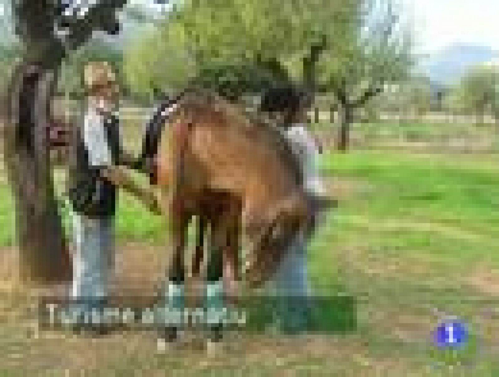 Informatiu Balear. Informatiu de les Illes Balears. (09/10/09)