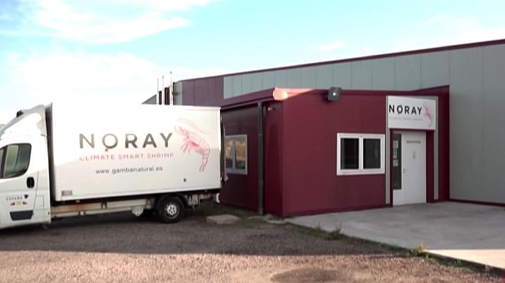 Emprende Express - Emprende Express - 26/07/21