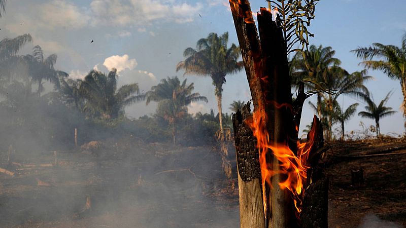 La Amazonía brasileña sufre récord de incendios en 14 años