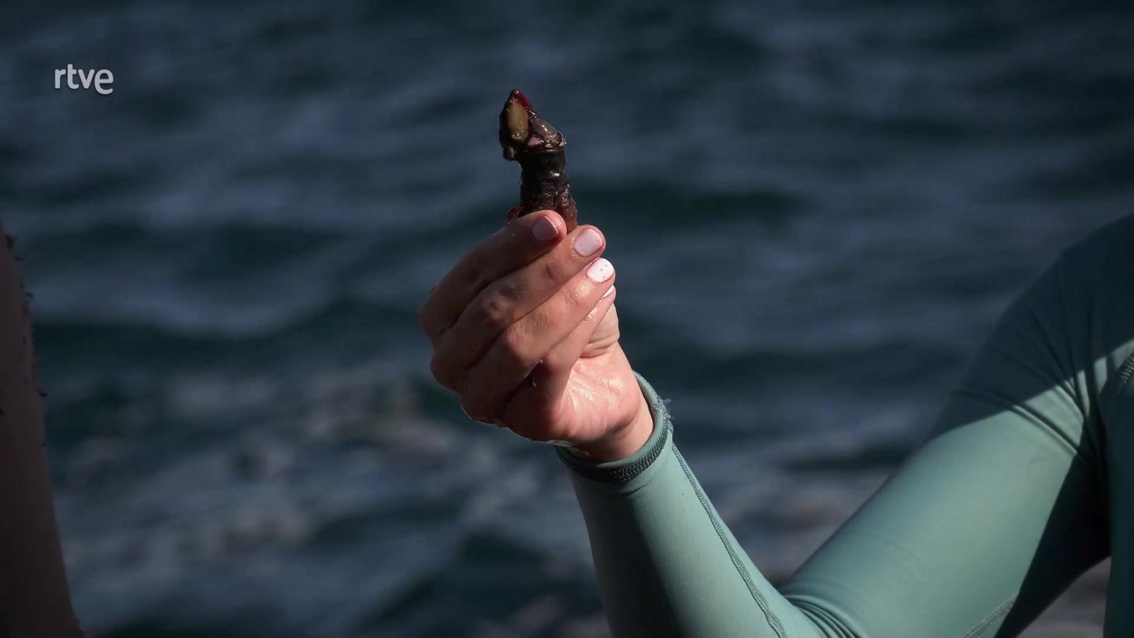 Aquí la Tierra - 27/07/21 - ver ahora