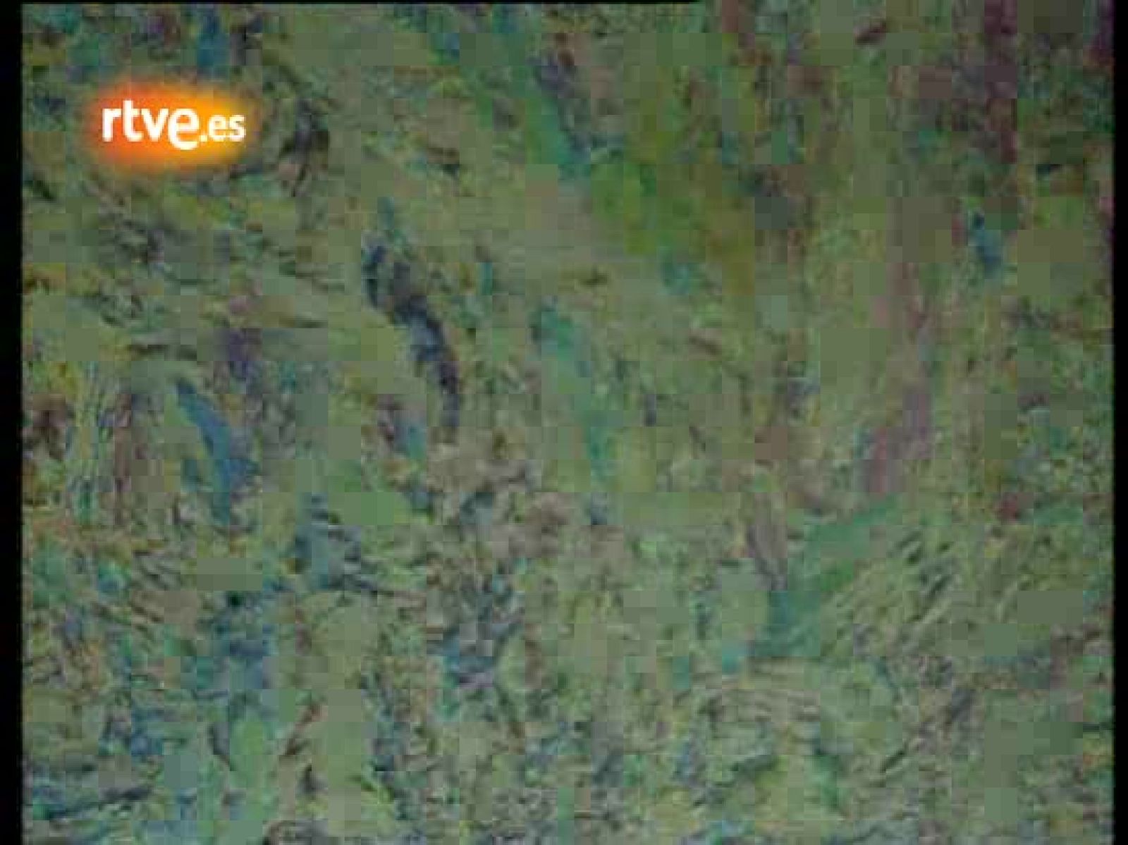 Santiago Auserón interpreta la canción 'Soy un electroduende y nadie me comprende' de La Bola de Cristal en 1984. | Ver