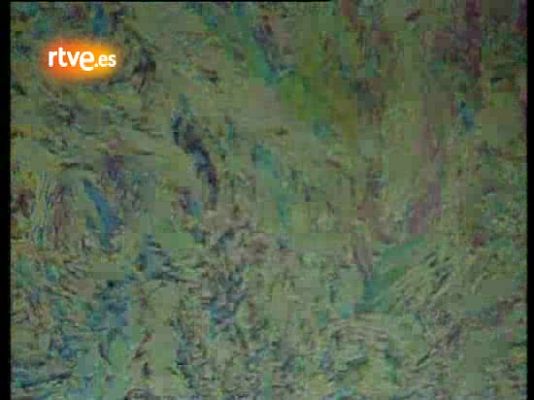  - Santiago Auserón 'Electroduede'