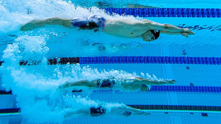 Natación. Semifinales y finales