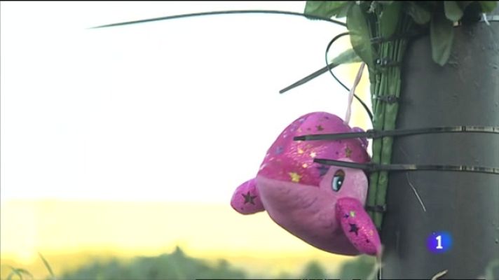 L'informatiu - Comunitat Valenciana - L'Informatiu Comunitat Valenciana - 28/07/21