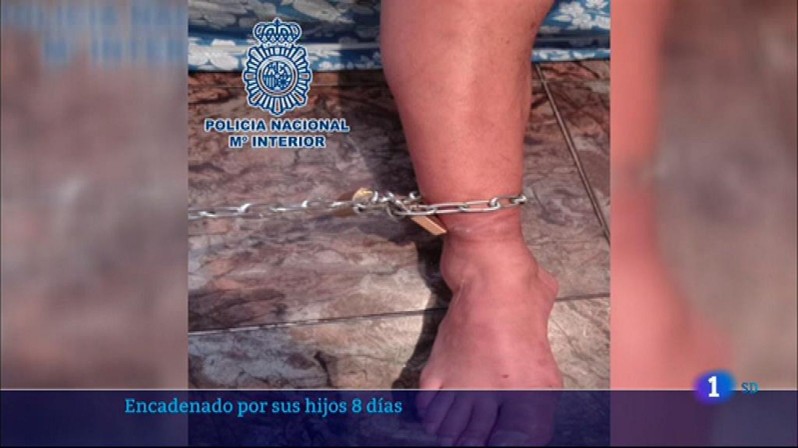 Informativo de Madrid 2        28/07/2021- Ver ahora