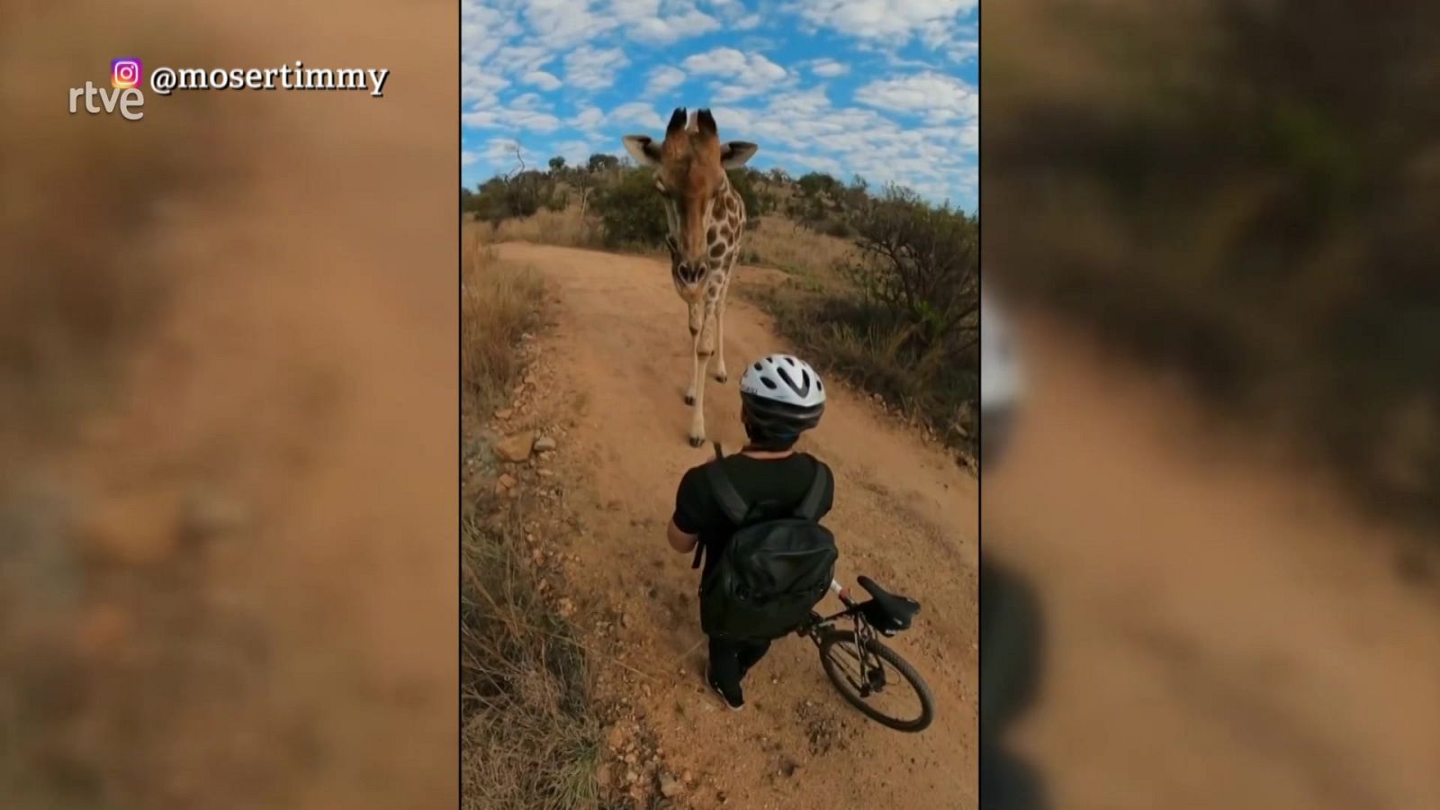 Aquí la Tierra - 29/07/21 - ver ahora