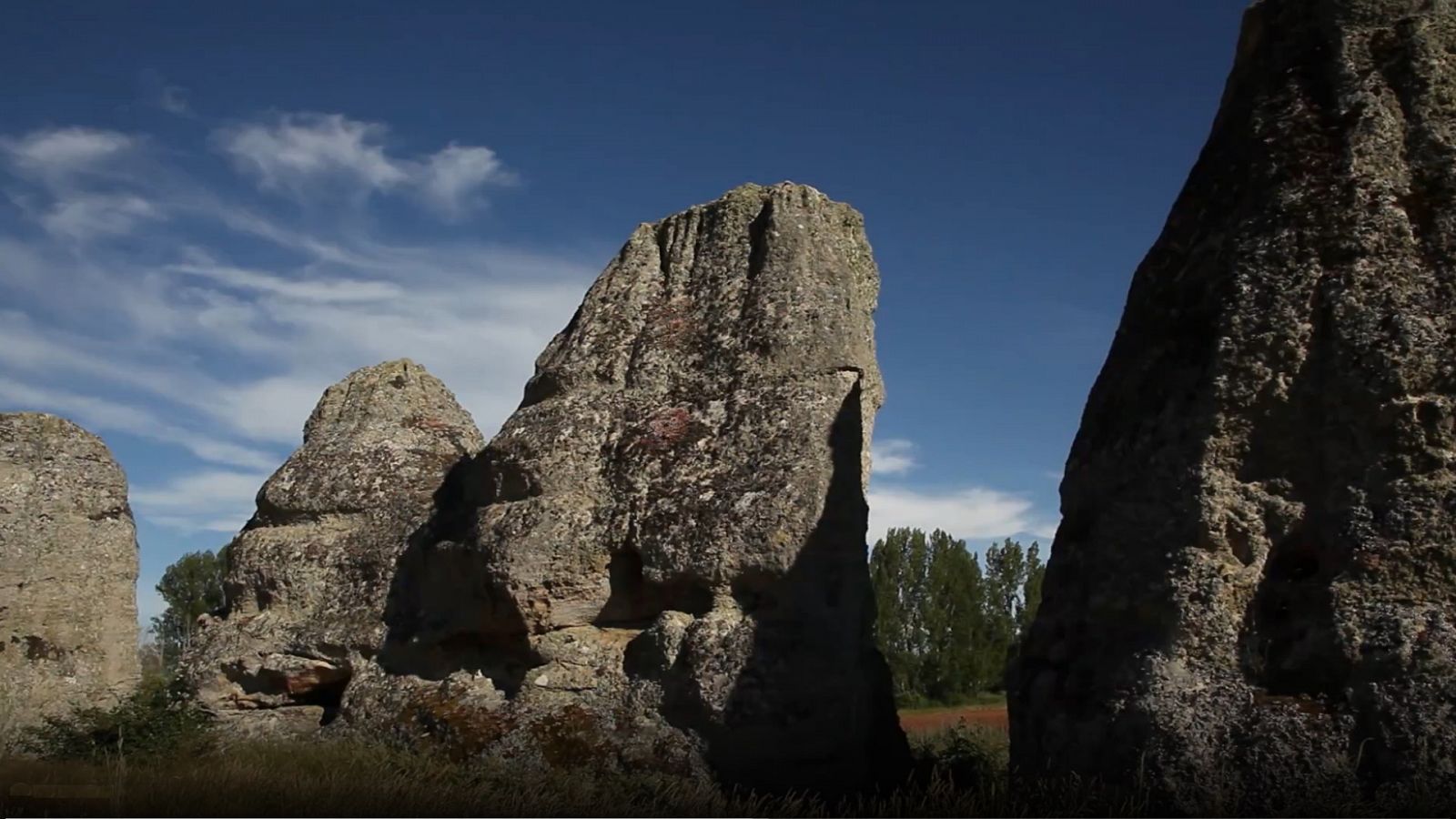 El bosque protector - Bosques de piedra - Documental en RTVE