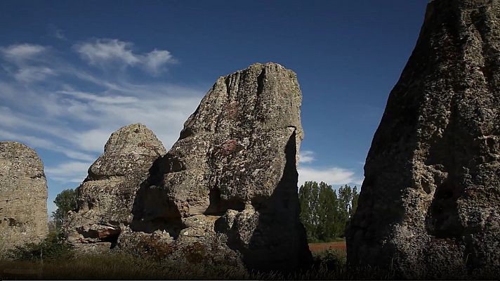 Bosques de piedra