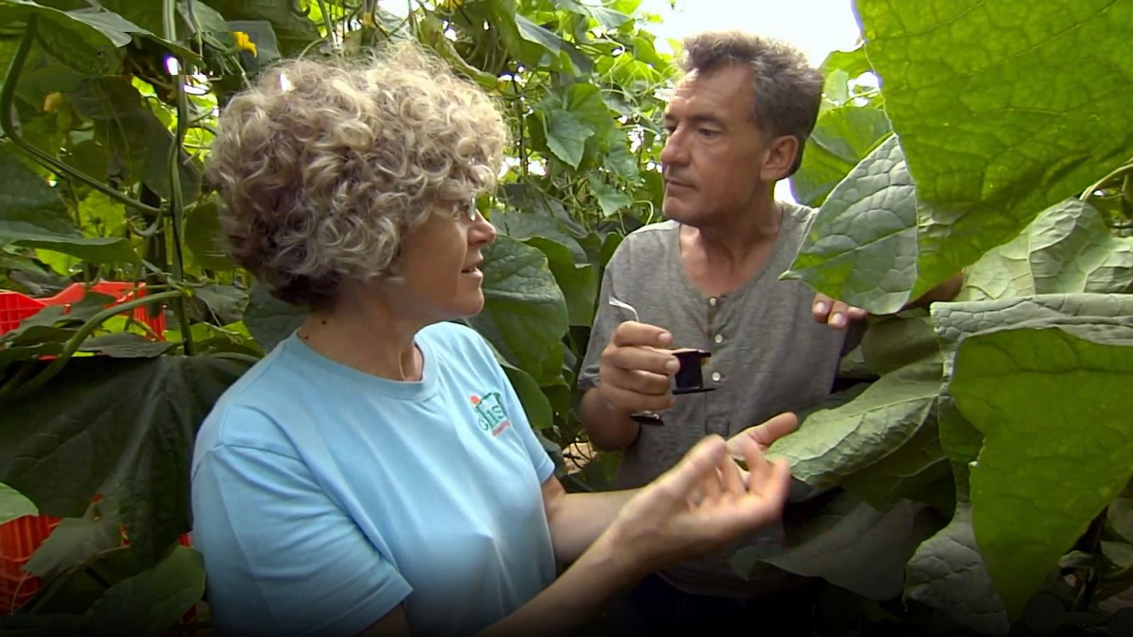 España a ras de cielo - Temporada 1 - Programa 5: España de mil colores