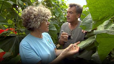 España de mil colores